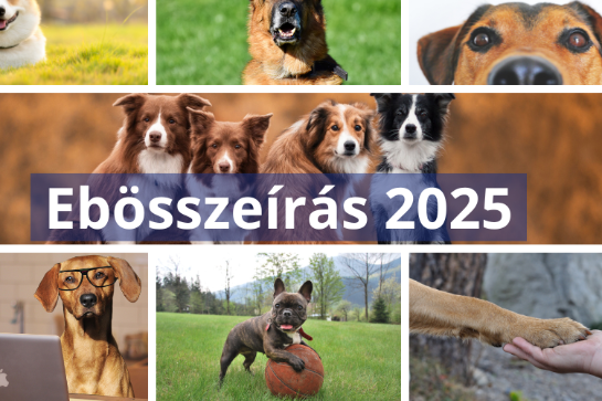 Ebsszers 2025